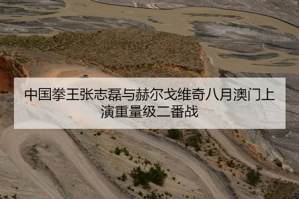 中国拳王张志磊与赫尔戈维奇八月澳门上演重量级二番战